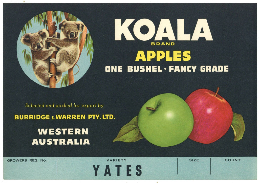 Koala Brand Vintage Australian Apple Crate Label, Yates