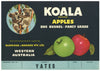 Koala Brand Vintage Australian Apple Crate Label, Yates