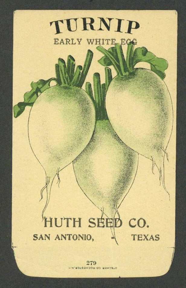 Turnip Antique Huth Seed Co. Packet, Early White Egg