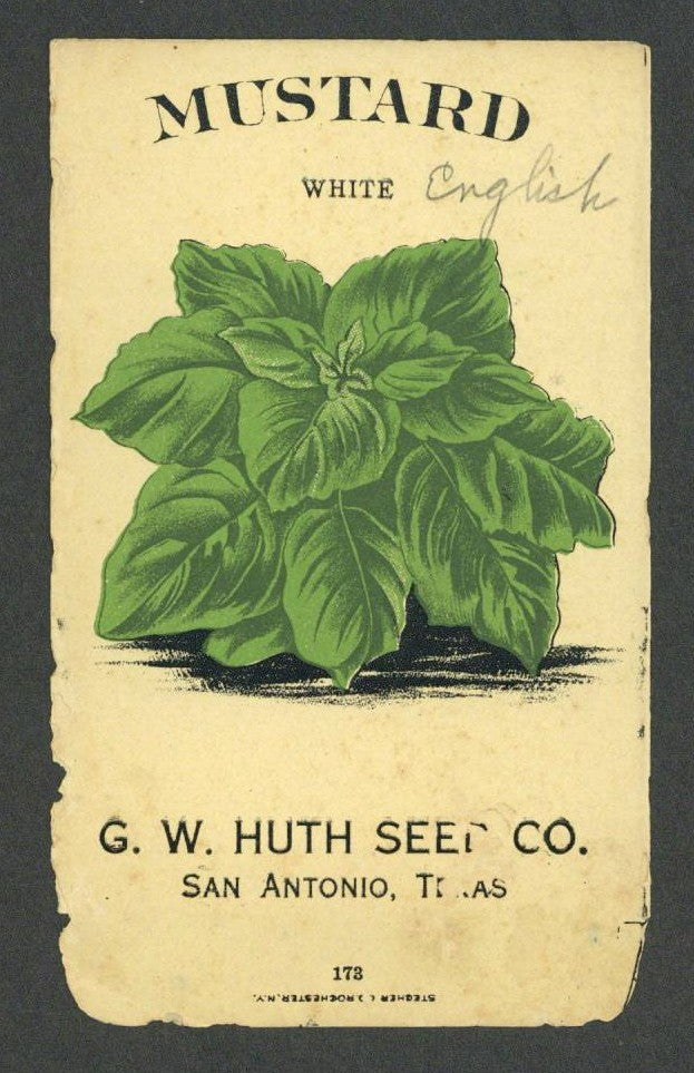 Mustard Antique Huth Seed Co. Packet