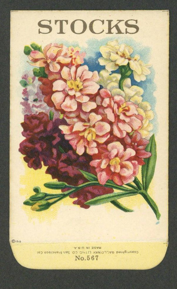 Stocks Antique Stock Seed Packet