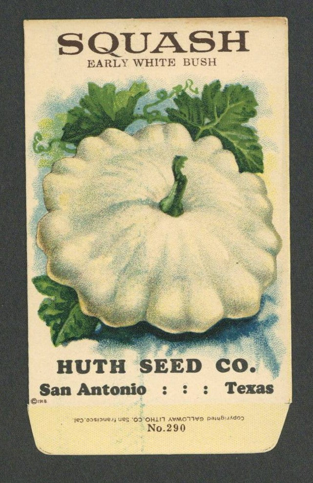 Squash Antique Huth Seed Co. Packet, Early White Bush