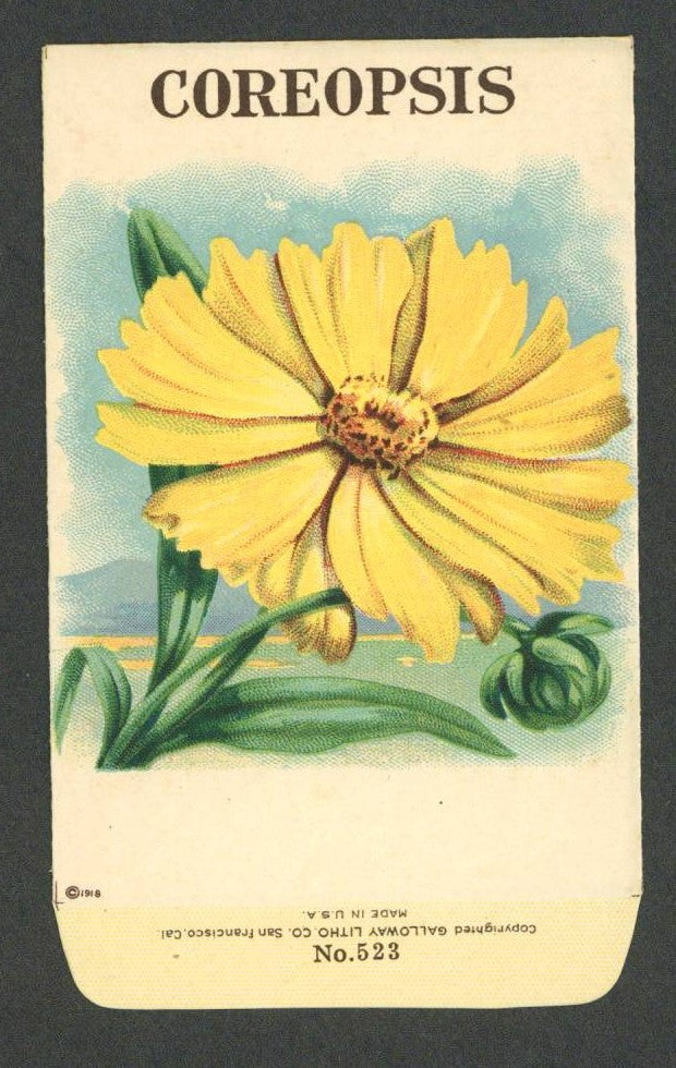 Coreopsis Antique Stock Seed Packet