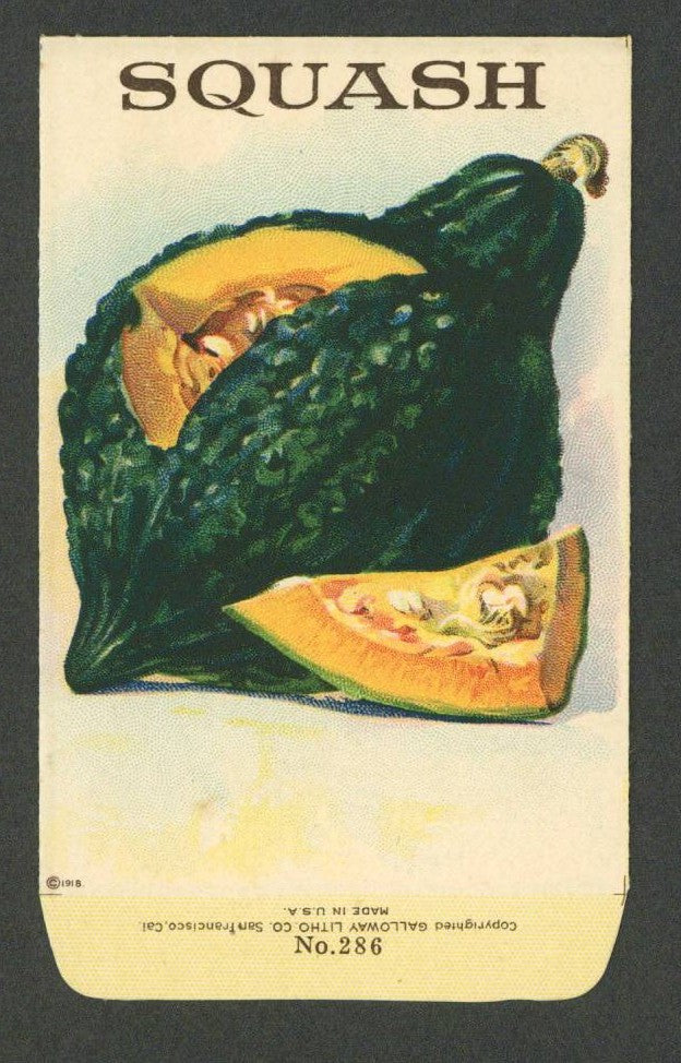 Squash Antique Stock Seed Packet