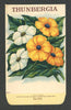 Thunbergia Antique Stock Seed Packet