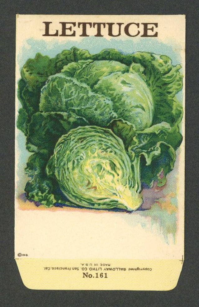 Lettuce Antique Stock Seed Packet