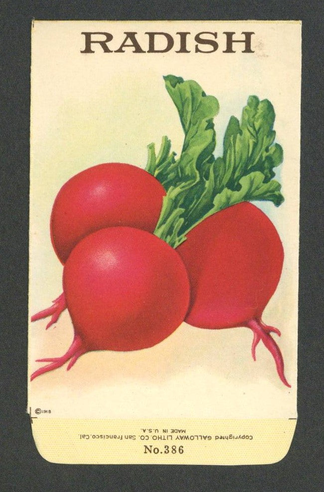 Radish Antique Stock Seed Packet