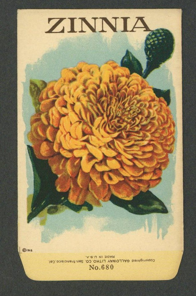 Zinnia Antique Stock Seed Packet