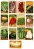 French Vegetable Antique Seed Packet Label Collection of 25 Different
