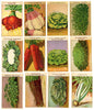 French Vegetable Antique Seed Packet Label Collection of 25 Different
