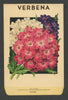 Verbena Antique Stock Seed Packet