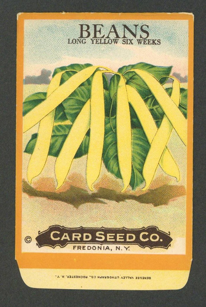 Beans Antique Card Seed Co. Packet, Long Yellow