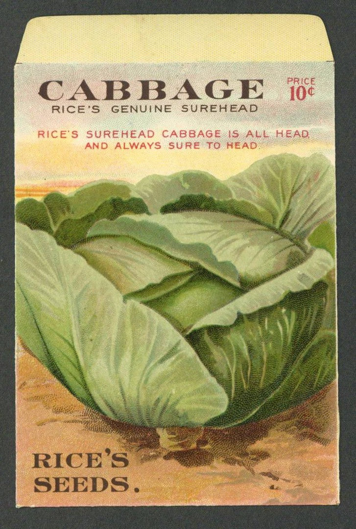 Cabbage Antique Rice's Seed Packet, Rice's Genuine Surehead