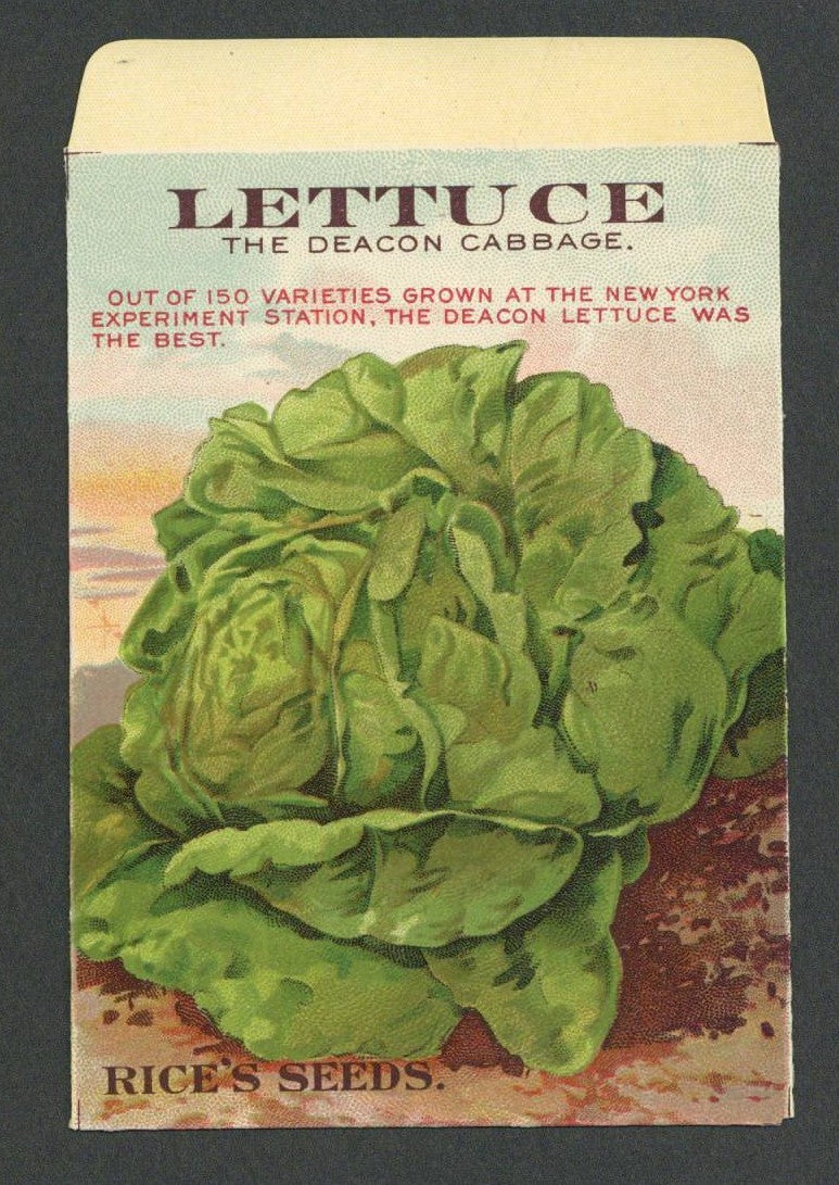 Lettuce Antique Rice's Seed Packet, The Deacon Cabbage