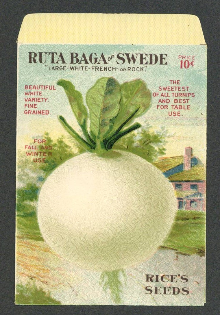 Ruta Baga or Swede Antique Rice's Seed Packet,
