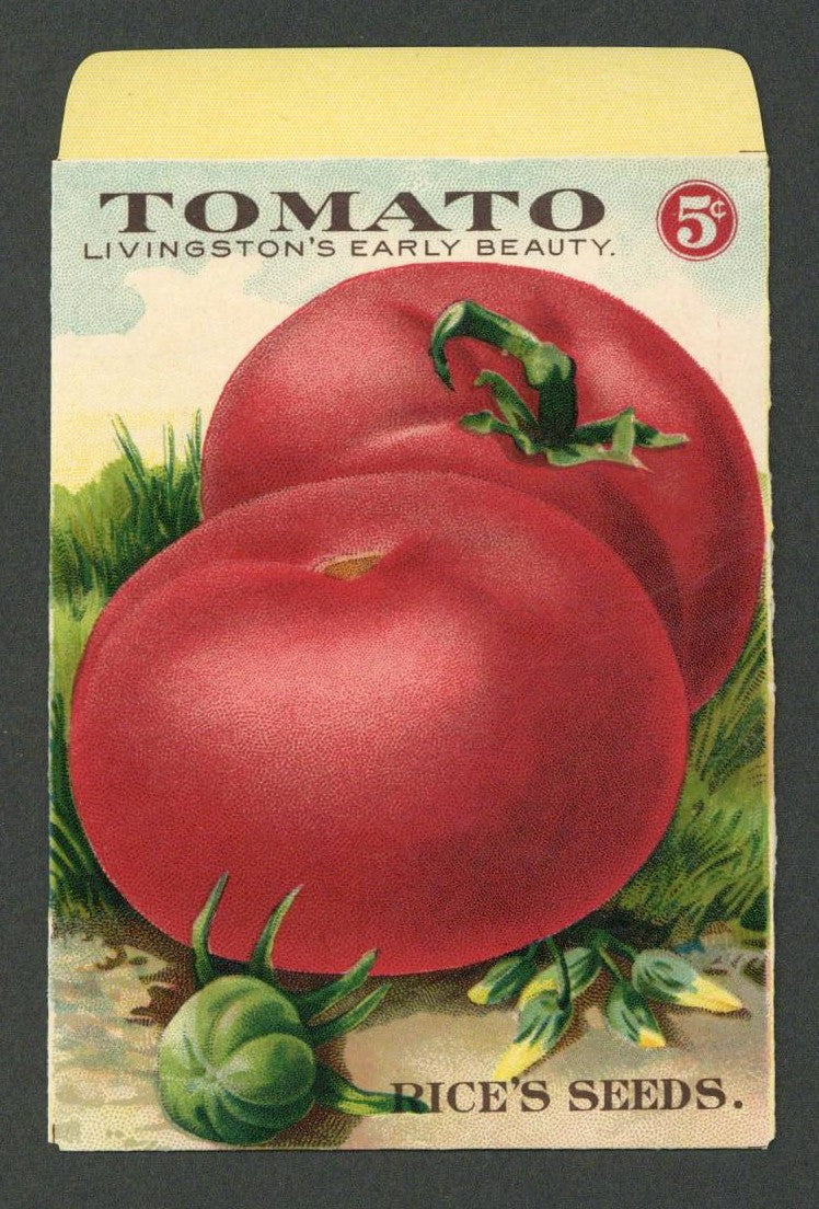 Tomato Antique Rice's Seed Packet, Livingston's Early Beauty