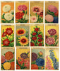 French Flower Antique Seed Packet Label Collection of 25 Different