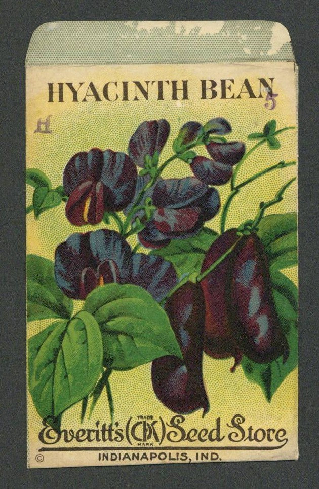 Hyacinth Bean Antique Everitt's Seed Packet