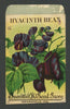 Hyacinth Bean Antique Everitt's Seed Packet