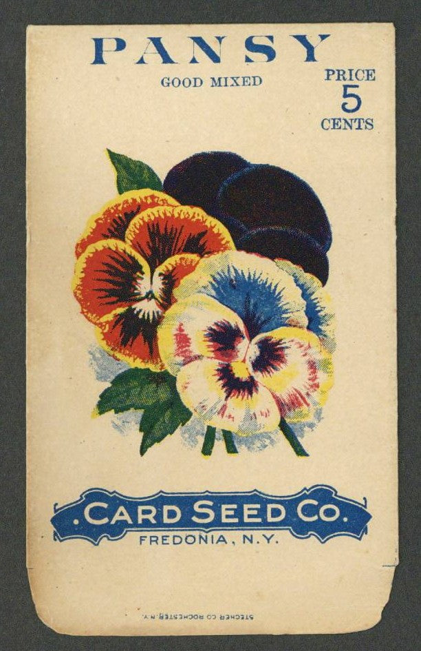 Pansy Antique Card Seed Co. Packet