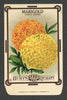 Marigold Antique Burt's Seed Packet