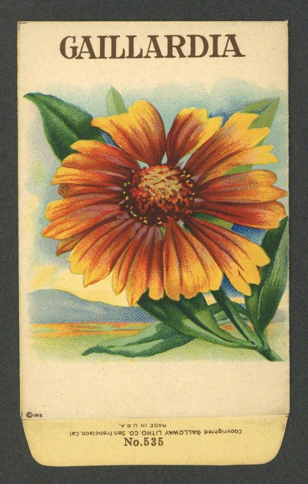 Gaillardia Antique Stock Seed Packet