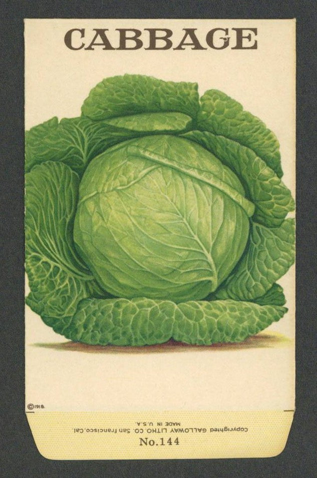 Cabbage Antique Stock Seed Packet