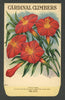 Cardinal Climbers Antique Stock Seed Packet