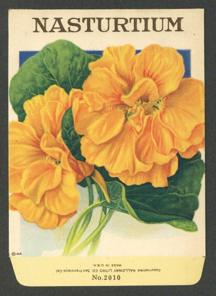 Nasturtium Antique Stock Seed Packet