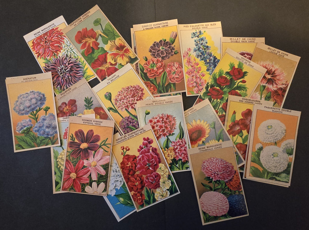 French Flower Antique Seed Packet Label Collection of 25 Different