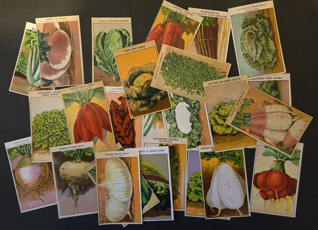 French Vegetable Antique Seed Packet Label Collection of 25 Different