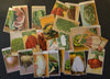 French Vegetable Antique Seed Packet Label Collection of 25 Different