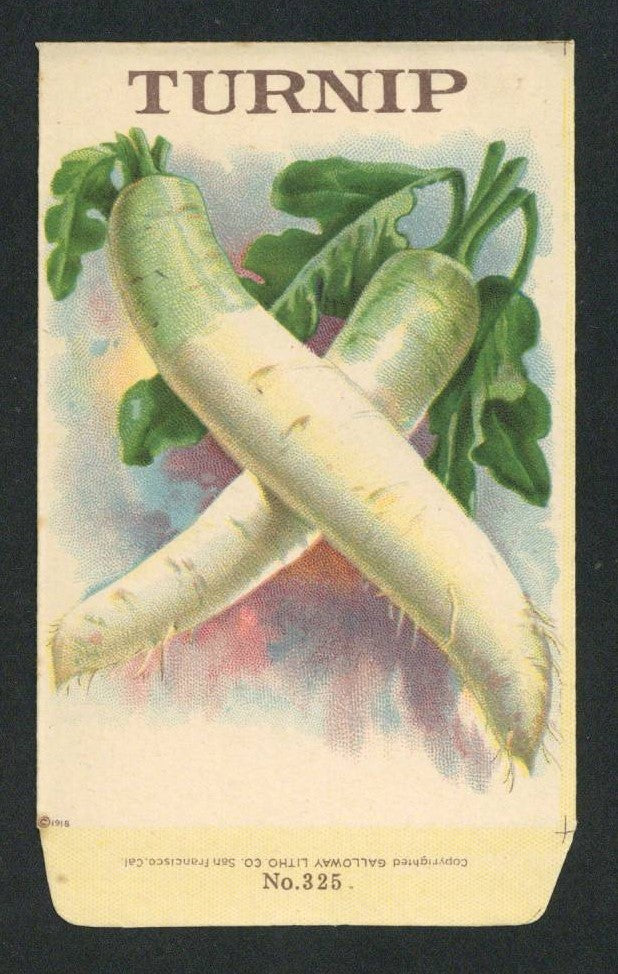 Turnip Antique Stock Seed Packet