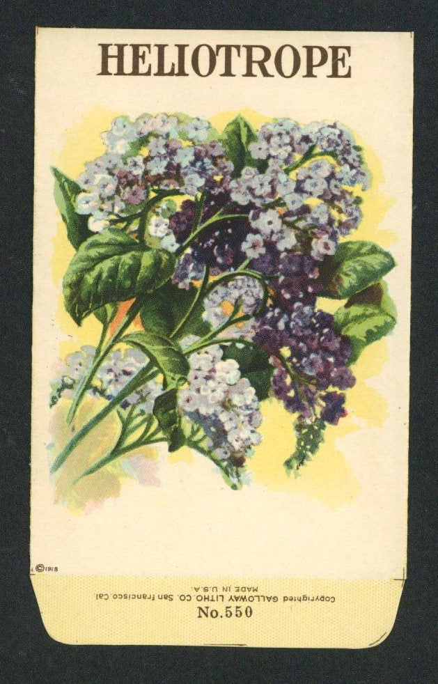 Heliotrope Antique Stock Seed Packet