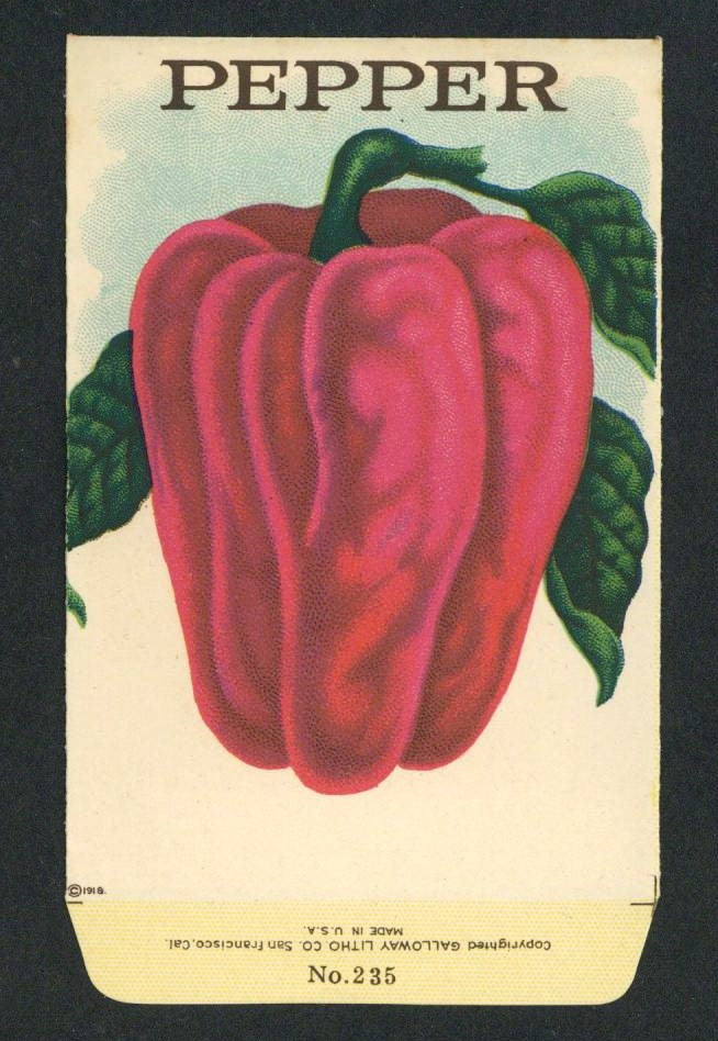 Pepper Antique Stock Seed Packet