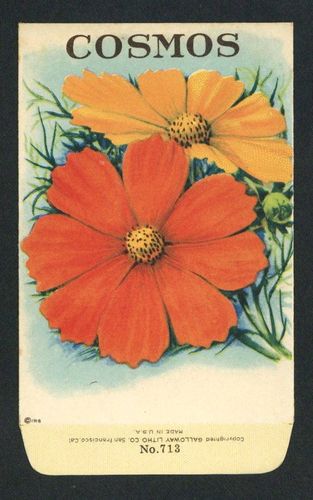 Cosmos Antique Stock Seed Packet