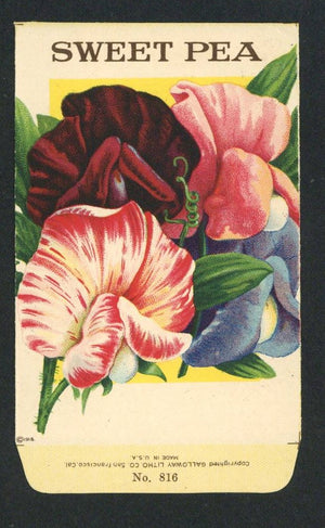 Sweet Pea Antique Stock Seed Packet