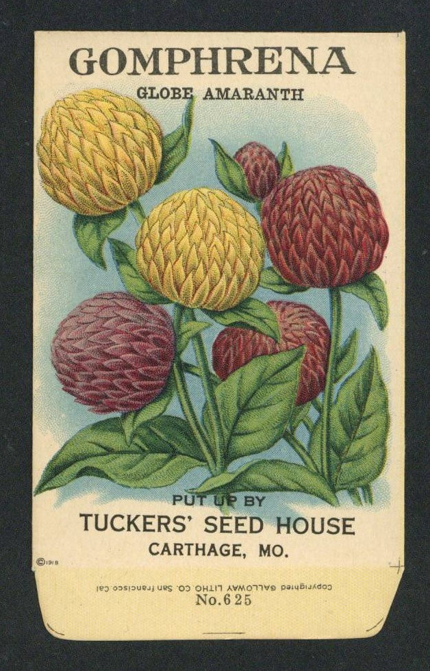 Gomphrena Antique Seed Packet Tuckers Seed House