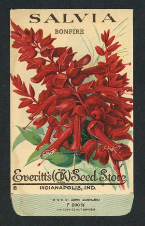 Salvia Antique Everitt's Seed Store Seed Packet