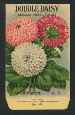 Double Daisy Antique Seed Packet Roudabush's Seed Store