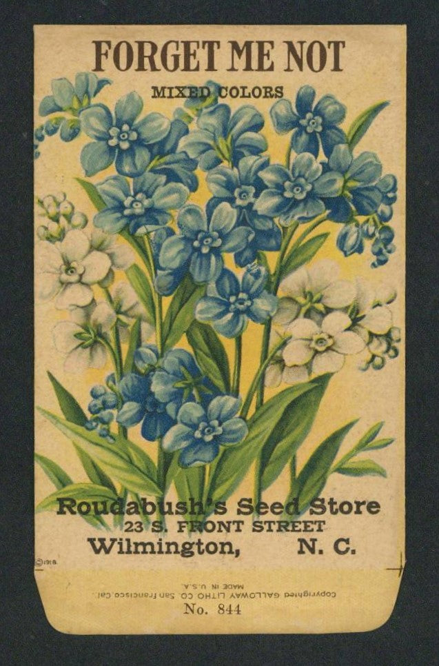 Forget Me Not Antique Seed Packet Roudabush's Seed Store