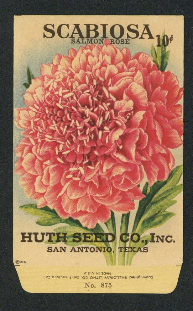 Scabiosa Antique Huth Seed Co. Packet