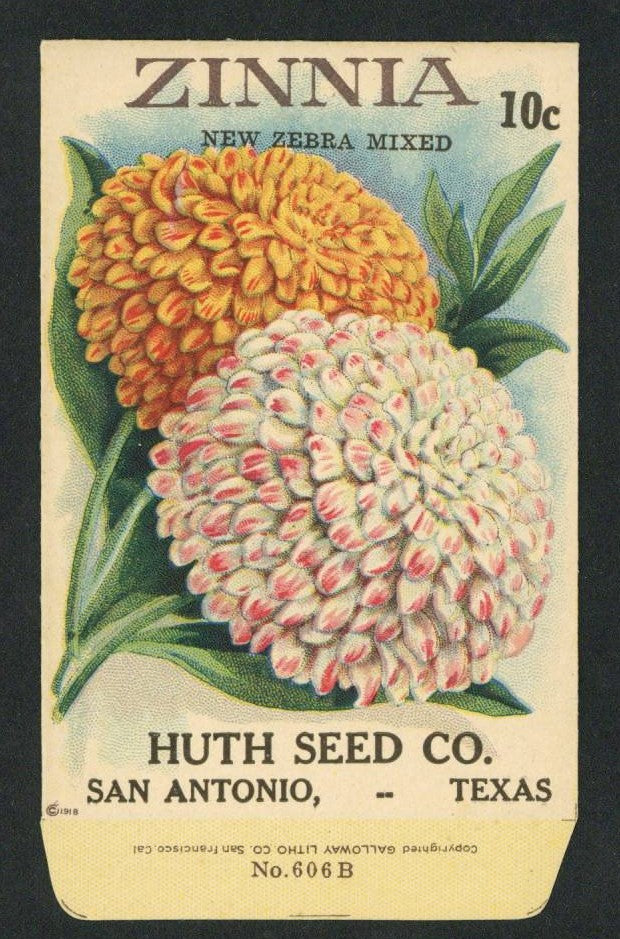 Zinnia Antique Huth Seed Co. Packet