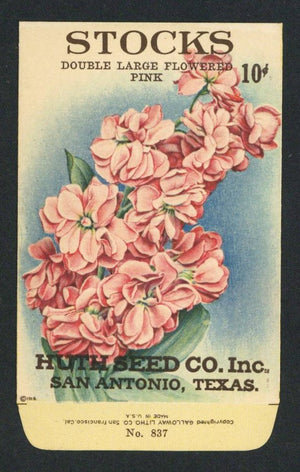 Stocks Antique Huth Seed Co. Packet