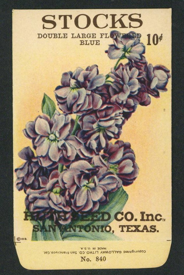 Stocks Antique Huth Seed Co. Packet