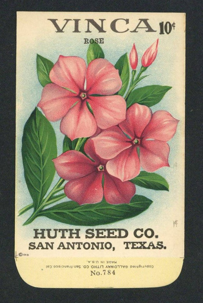 Vinca Antique Huth Seed Co. Packet