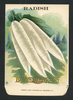 Radish Antique Burt's Seed Packet