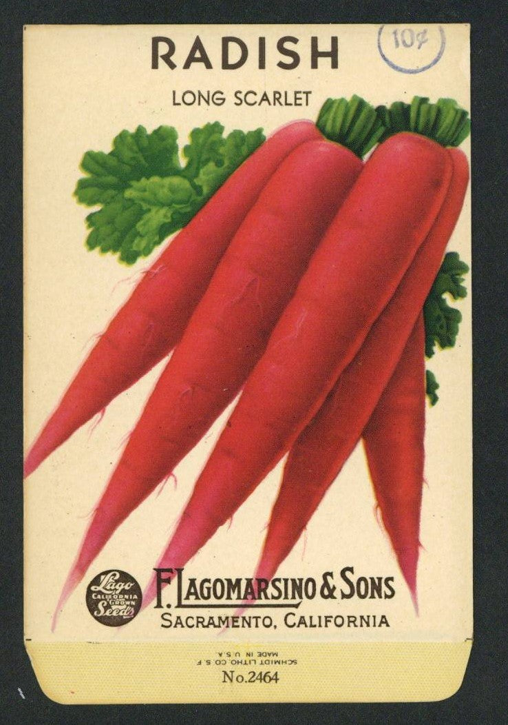 Radish Vintage Lagomarsino Seed Packet