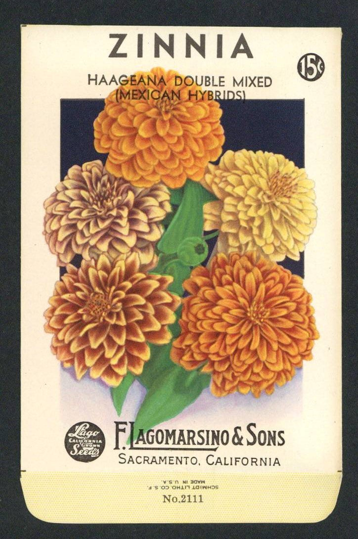 Zinnia Vintage Lagomarsino Seed Packet, Haageana