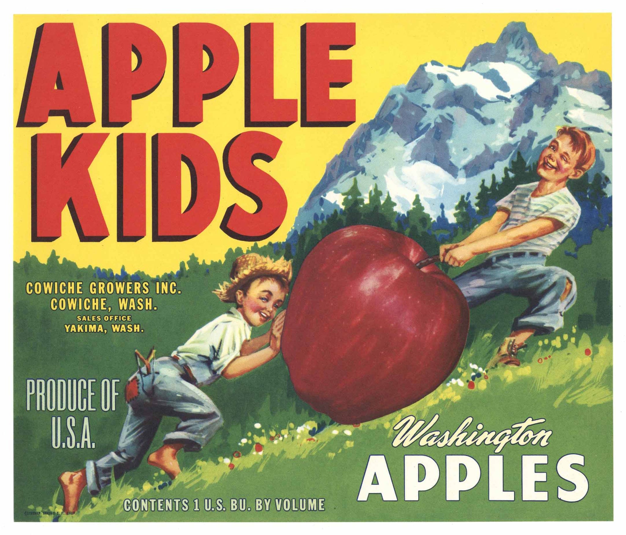 Apple Kids Brand Vintage Cowiche Washington Apple Crate Label